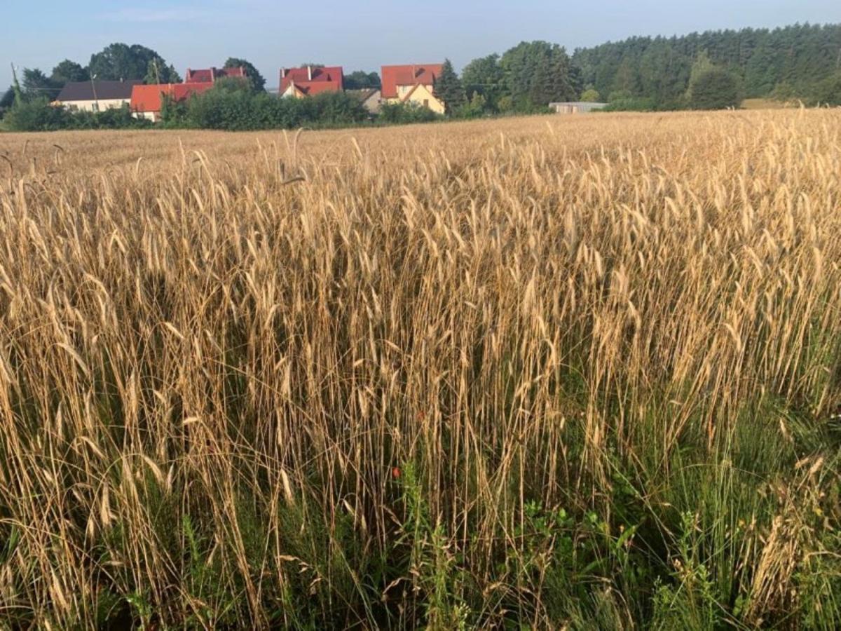 Tumidaj Cottage Bogacko Exteriér fotografie